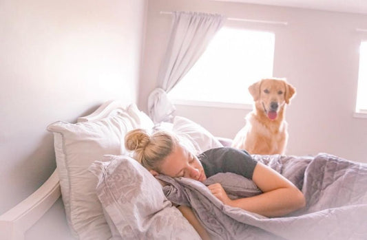 Should Your Pets be Sleeping With You?