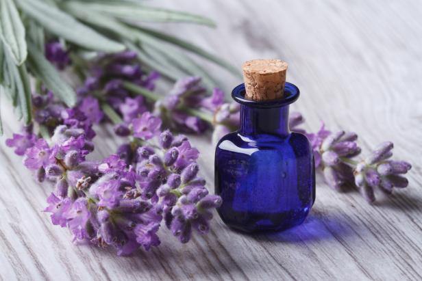 A Deep Dive On Lavender Essential Oil - BlanQuil